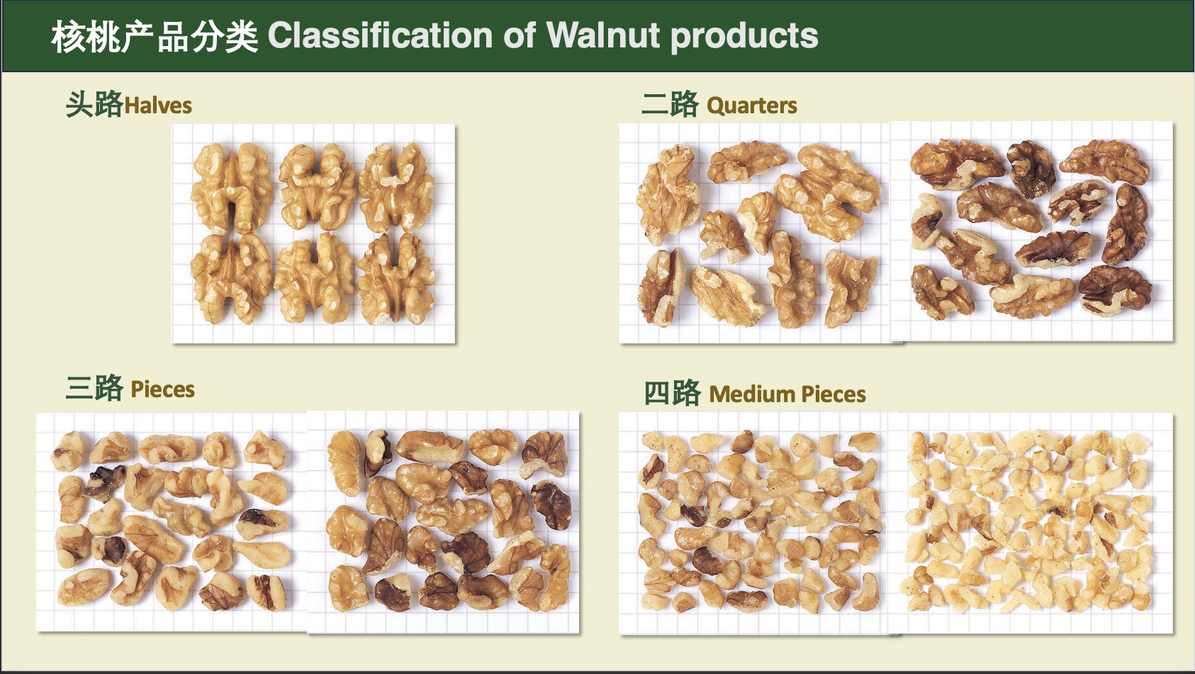 Chinese Walnut Kernel Size Standards