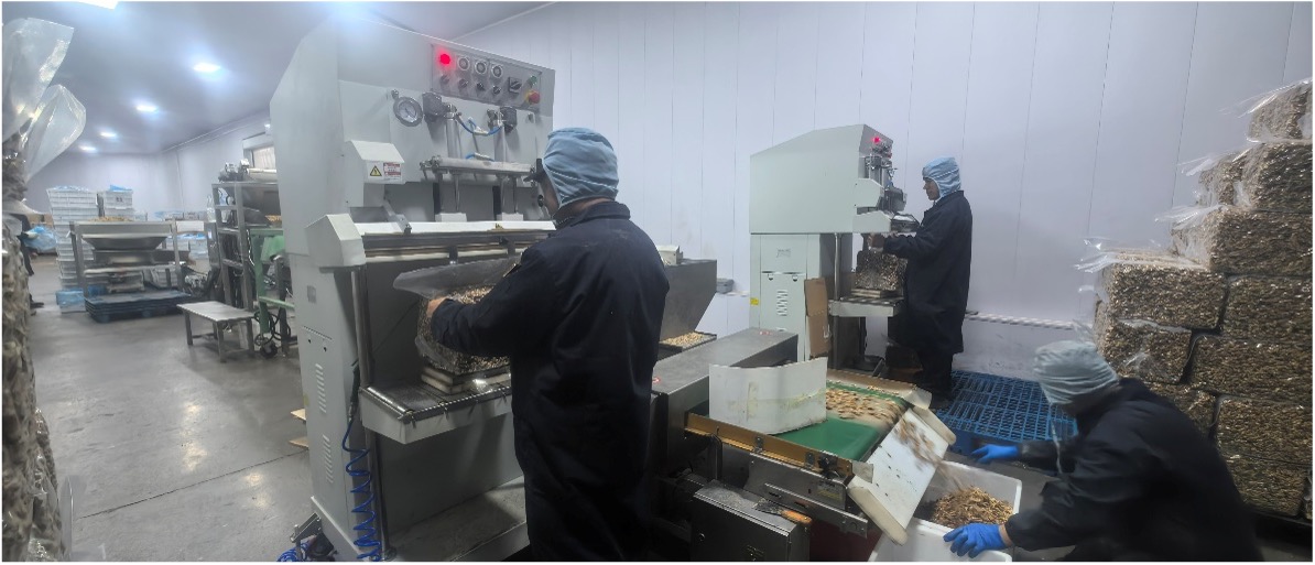 抽真空作业现场