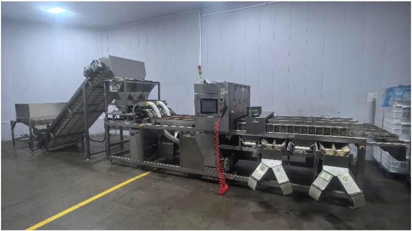 中科直线多口色选机