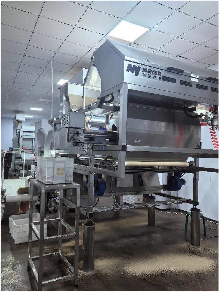 双层美亚色选车间